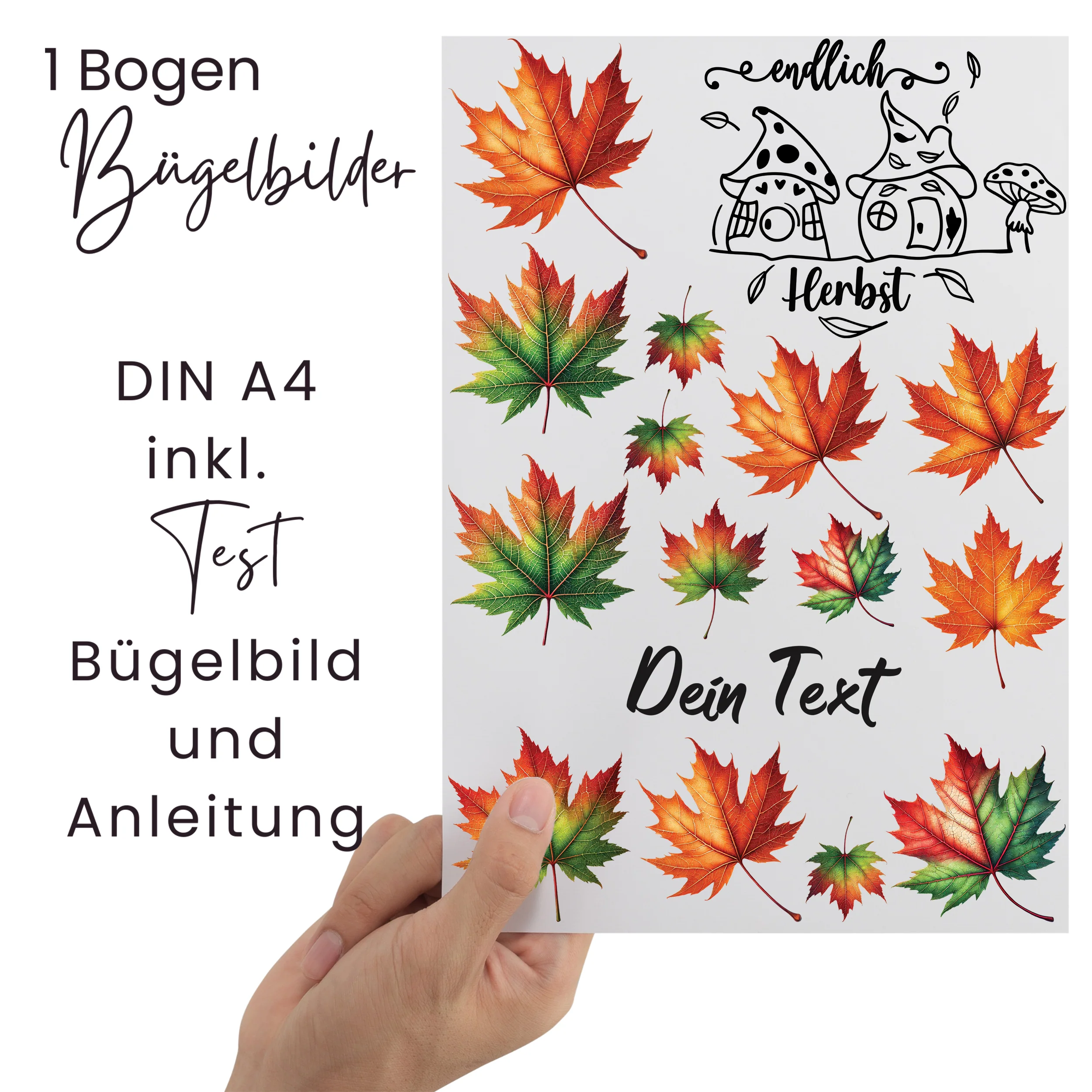 Vorschaubild 2