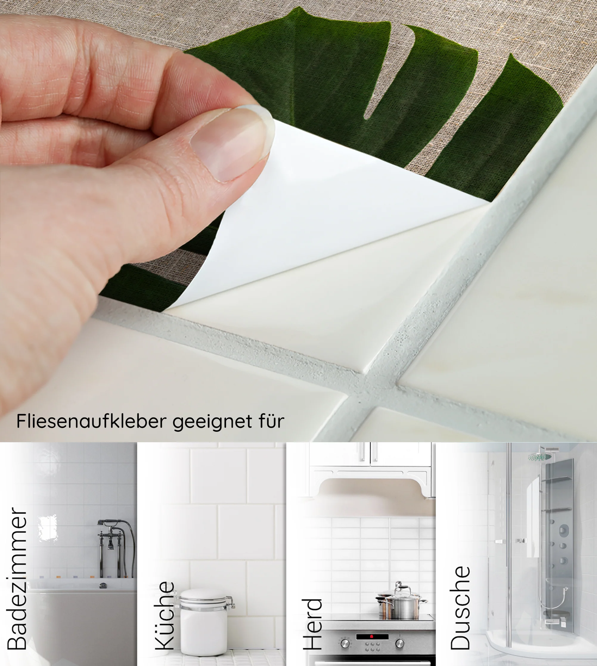 Vorschaubild 6