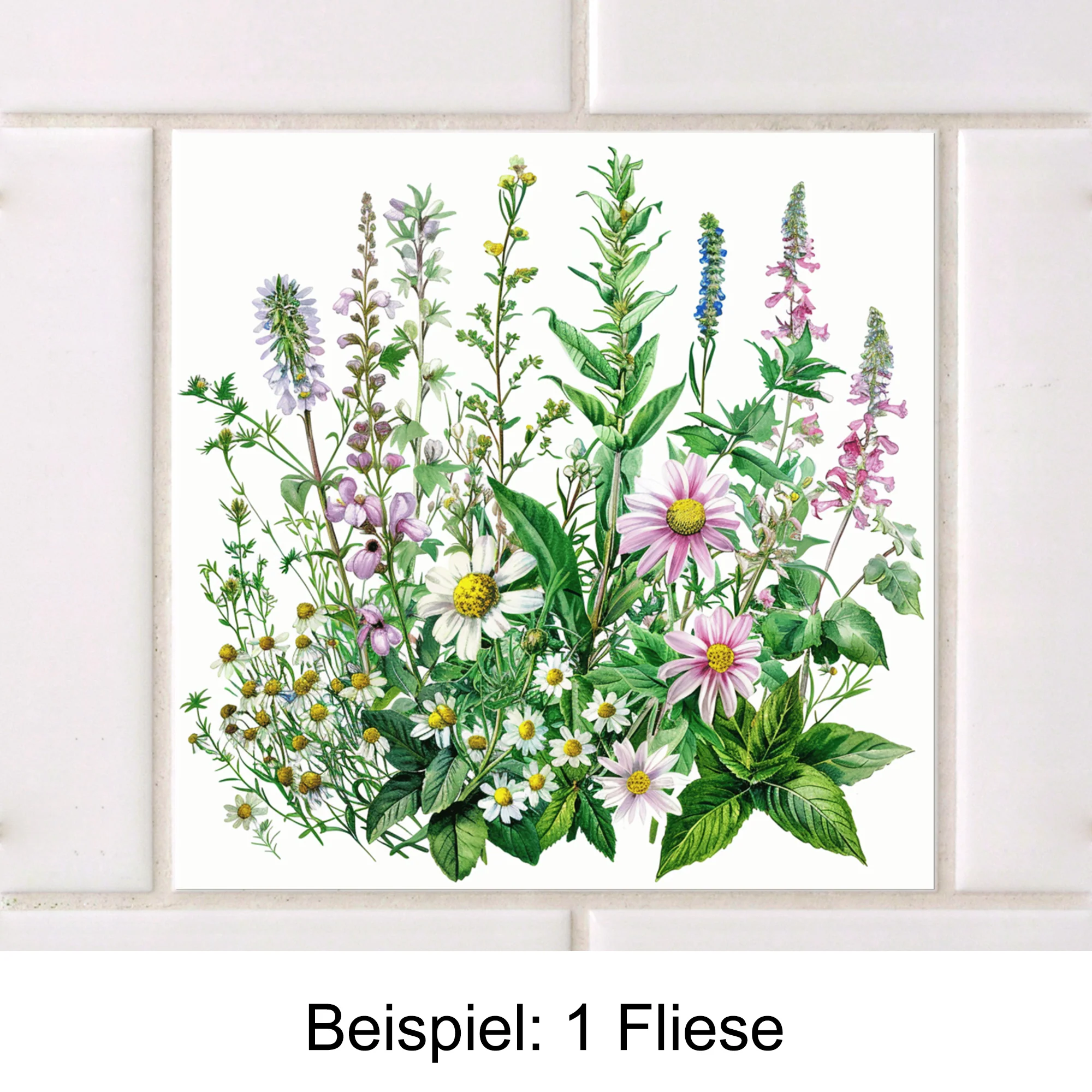 Vorschaubild 3