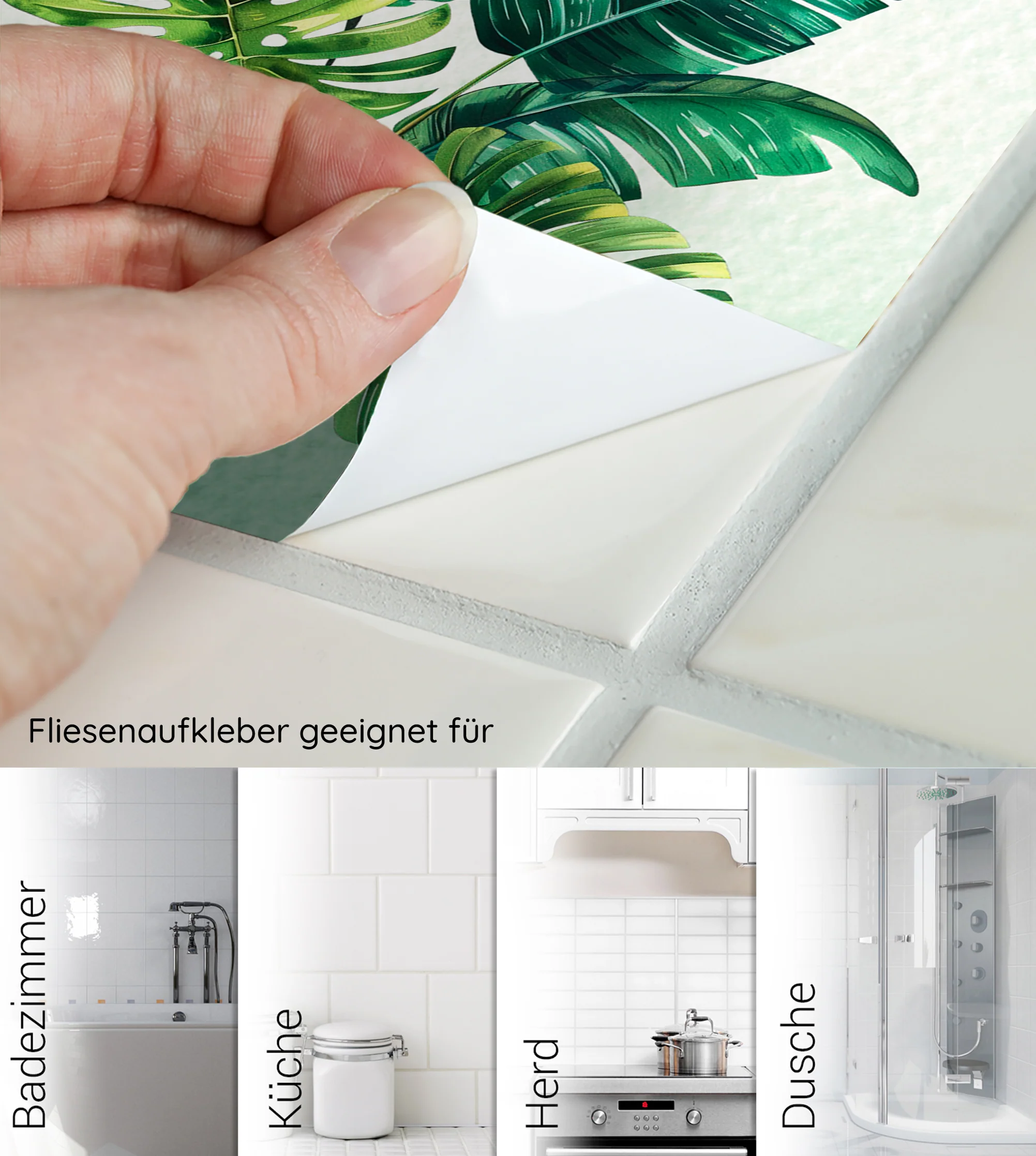 Vorschaubild 6