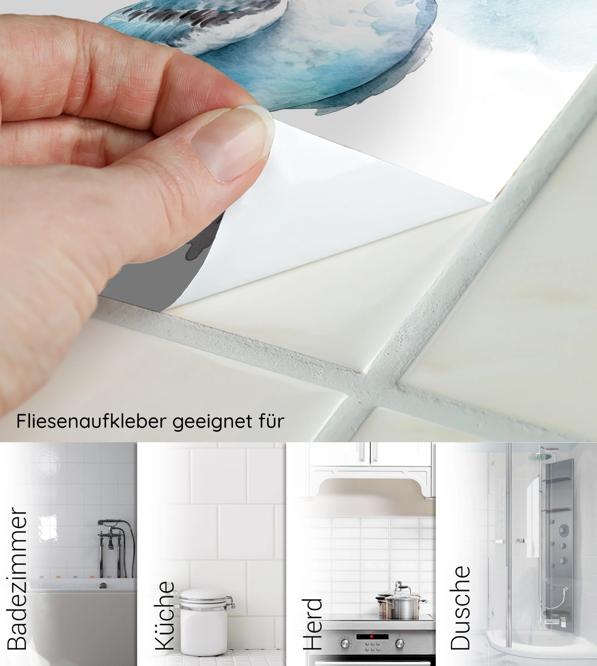 Vorschaubild 6