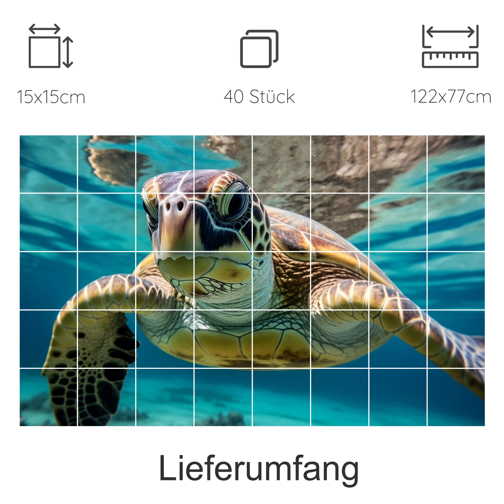 Vorschaubild 11
