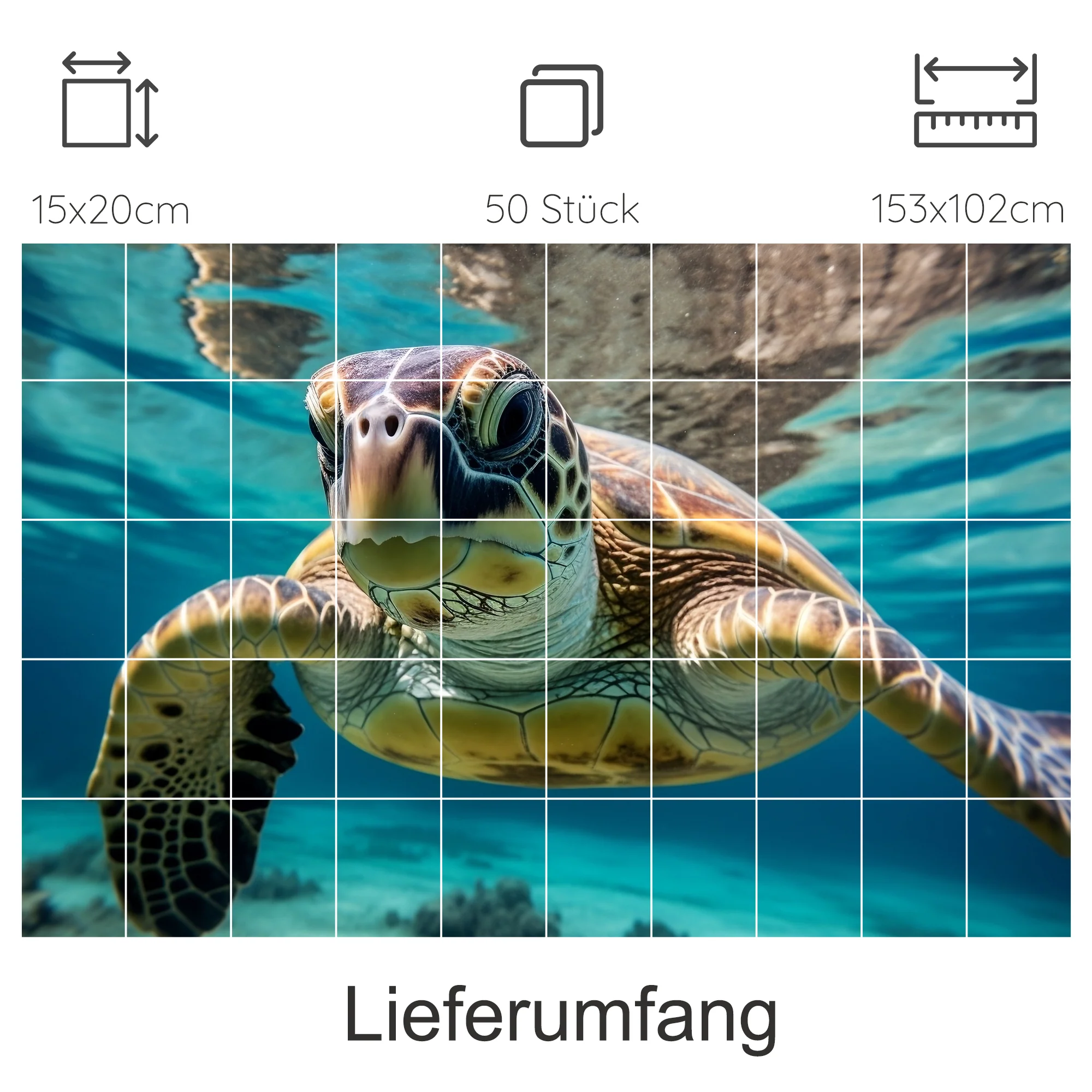 Vorschaubild 13