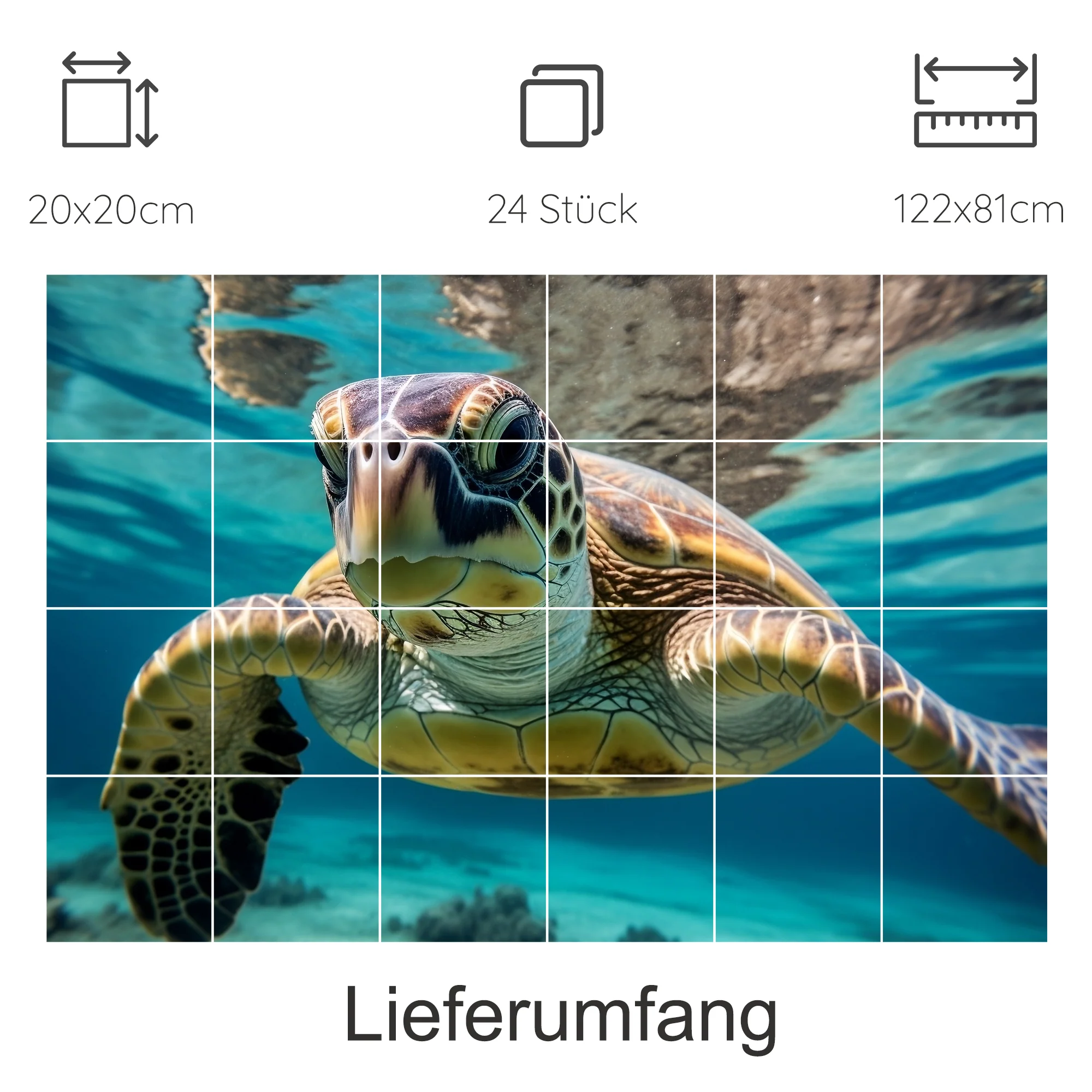 Vorschaubild 17