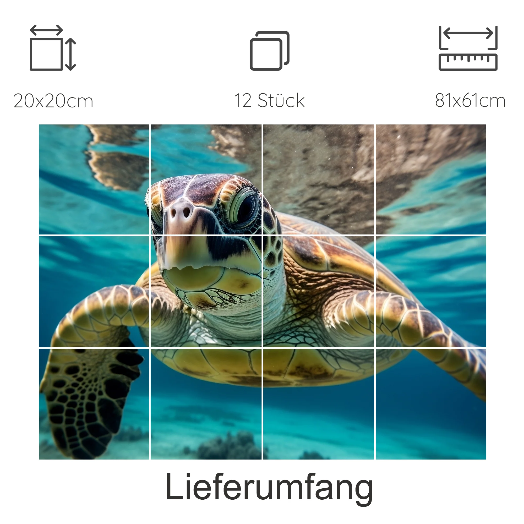 Vorschaubild 18