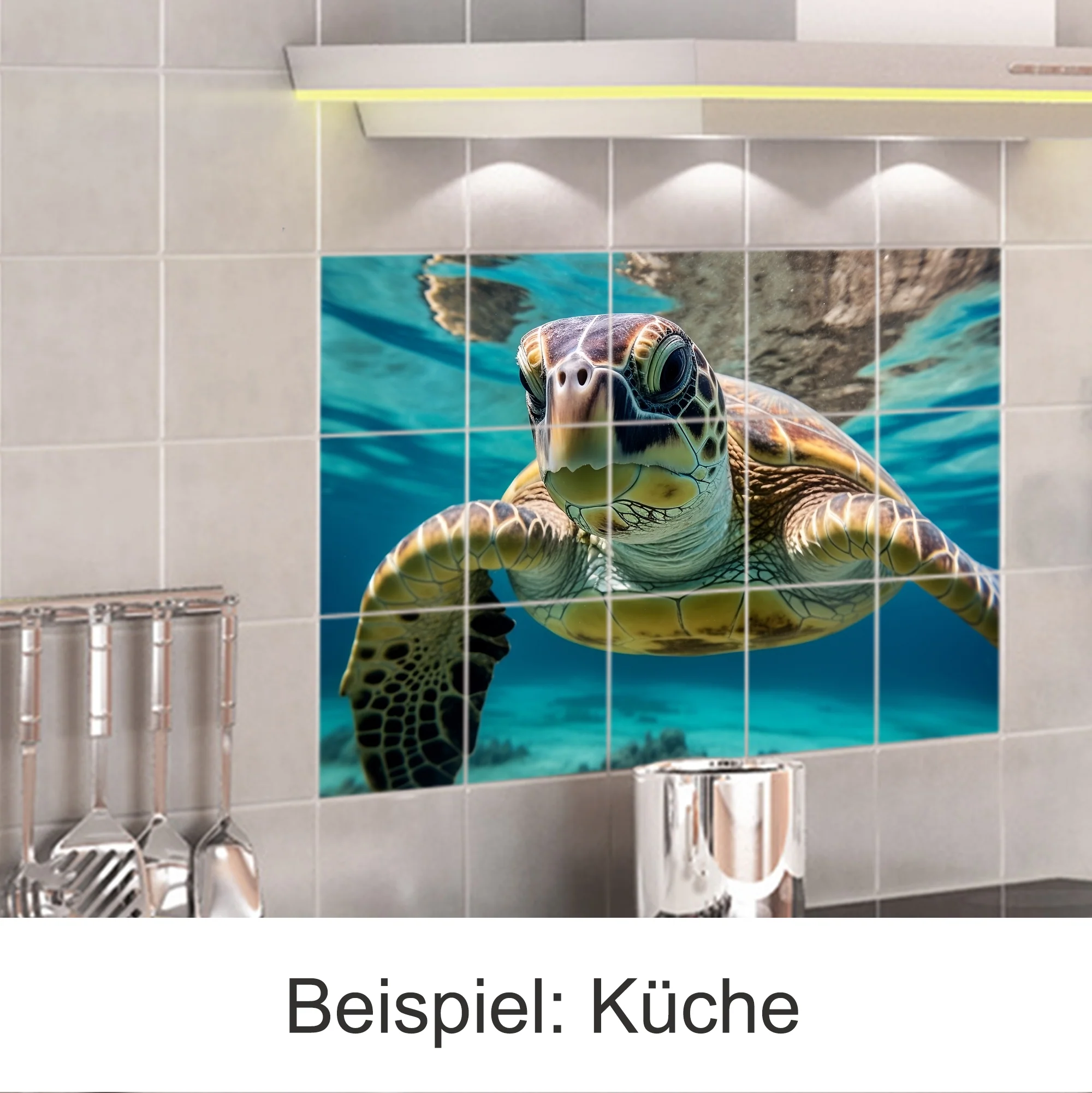 Vorschaubild 5
