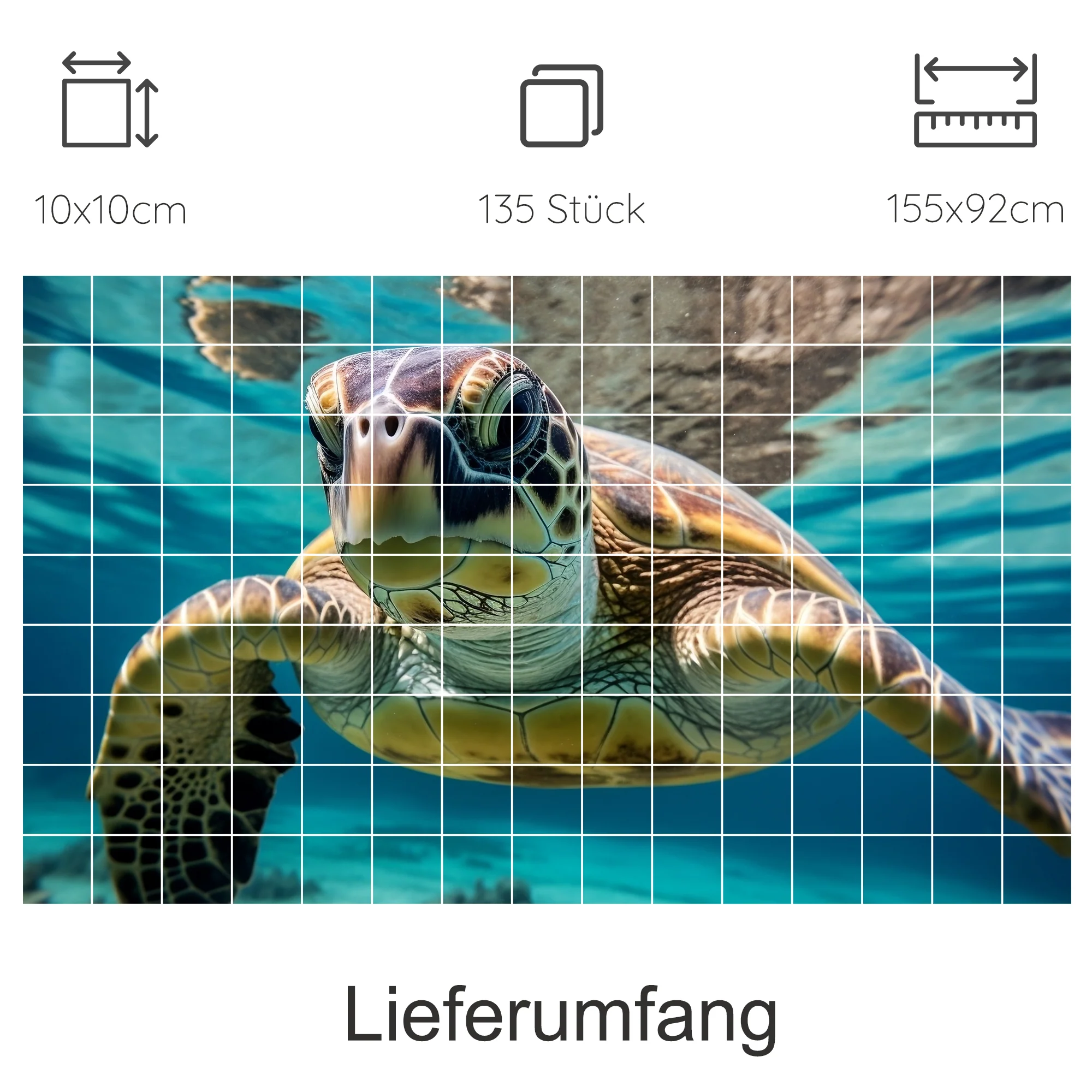 Vorschaubild 7