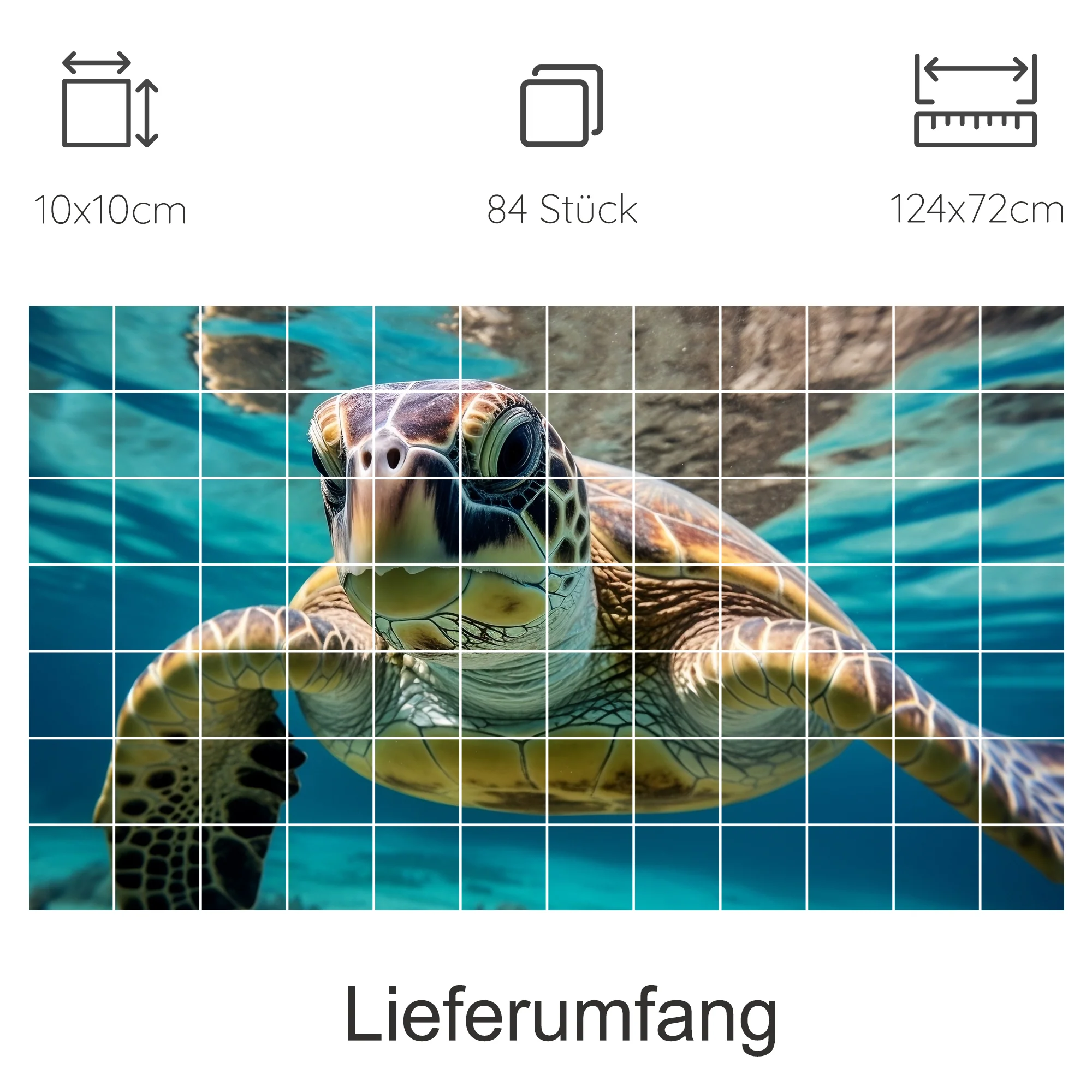 Vorschaubild 8