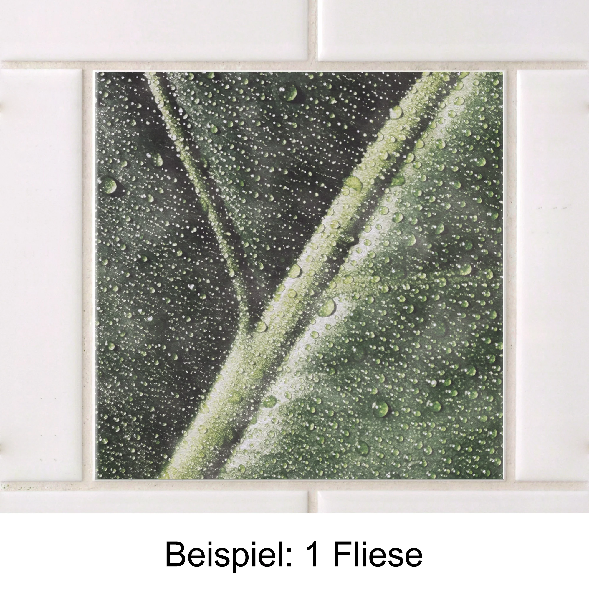 Vorschaubild 3