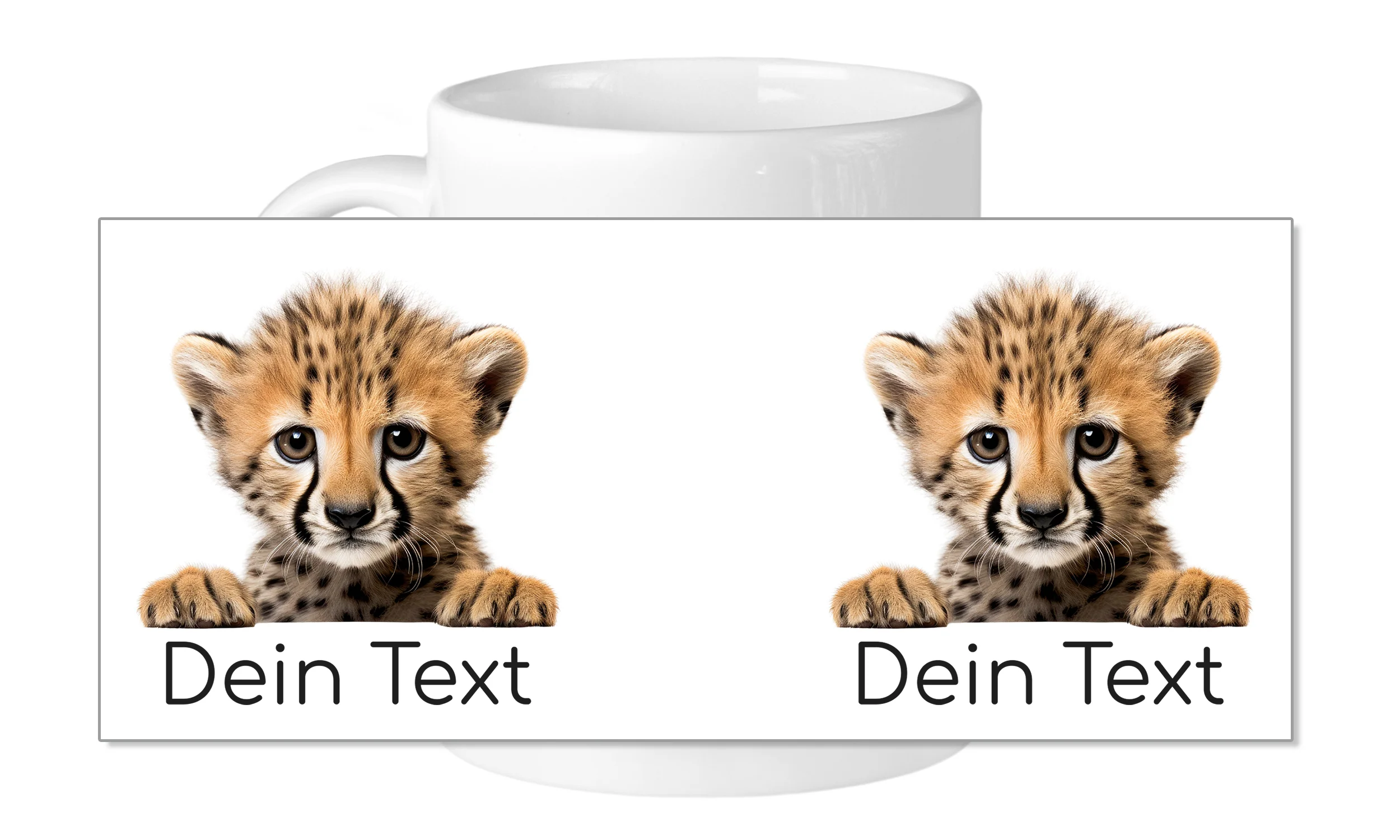 Vorschaubild 5