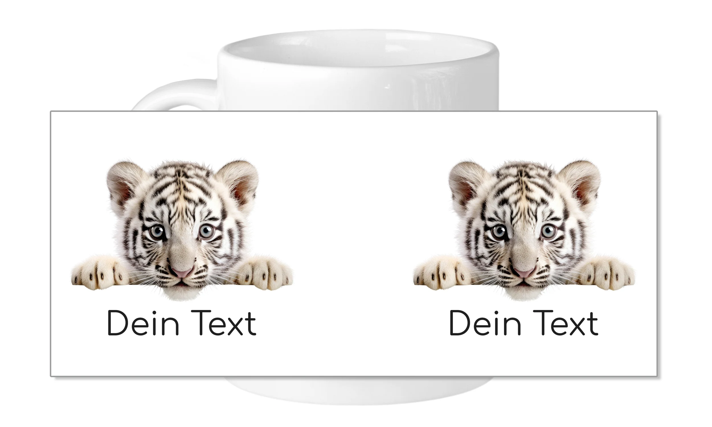 Vorschaubild 5
