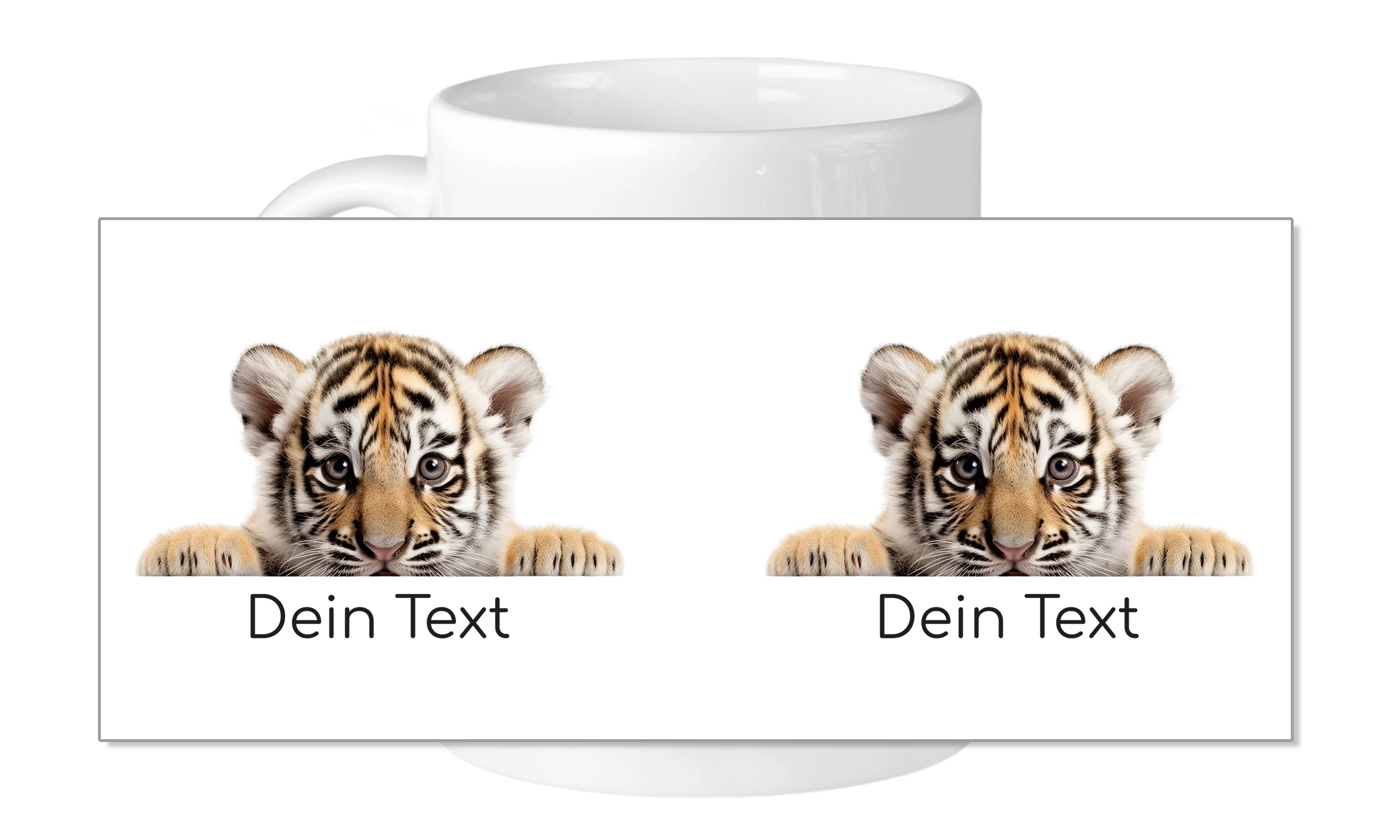 Vorschaubild 5
